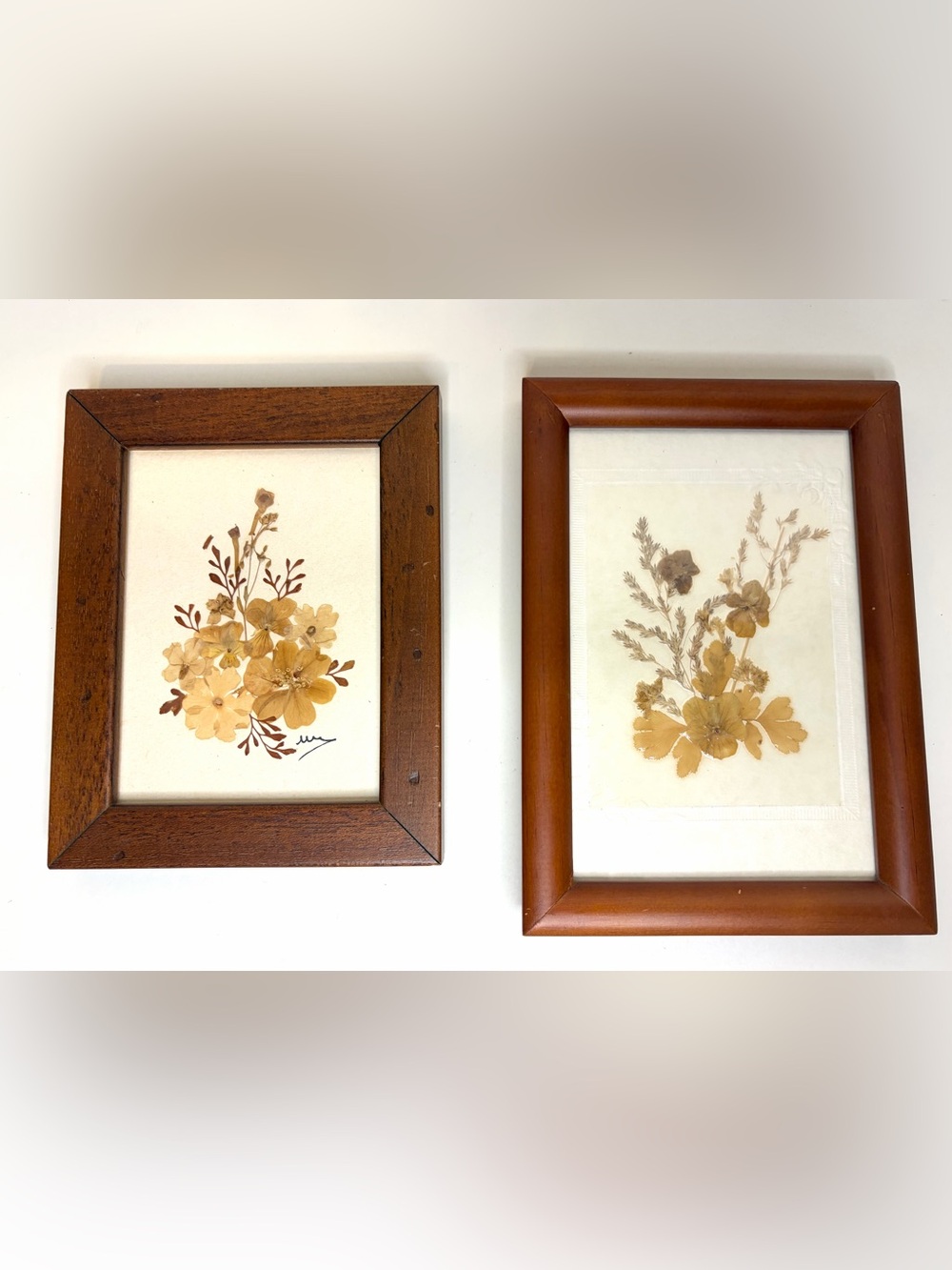 Vintage Pressed Floral Artwork Set in Brown Wood Frames